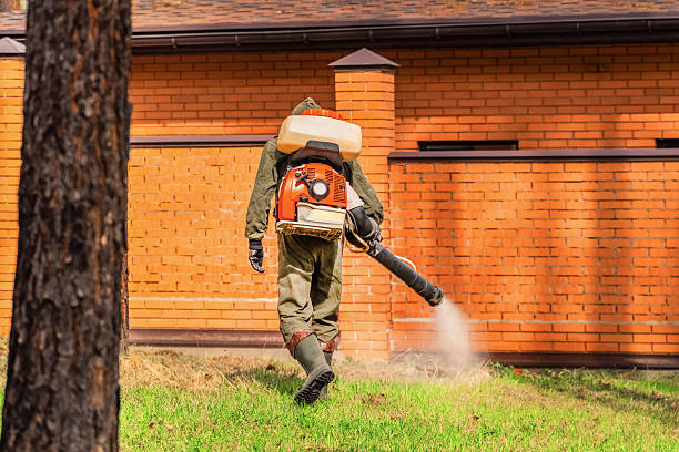 Bed Bug Clearance Verification and Documentation in Ojus